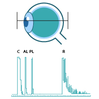 Biometria